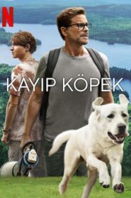 Kayıp Köpek izle