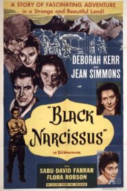 Black Narcissus Türkçe Dublaj Full izle