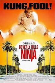 Beverly Hills Ninja Türkçe Dublaj izle