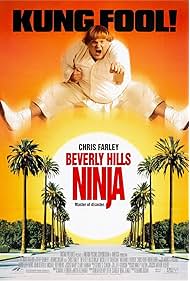 Beverly Hills Ninja Türkçe Dublaj izle