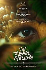 Hayvan Krallığı izle